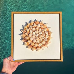 Coastal Shell Art | Seashell Wall Art | Handmade Shell | Seashell flower Decor | Beachy Boho Home Accent