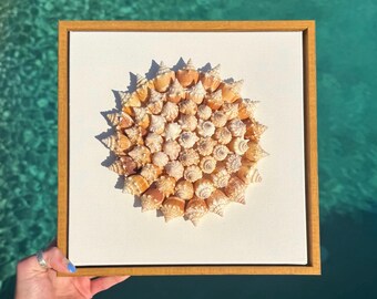 50+ Sanibel Island Conch Shell Mandala Wall Art | Handmade Seashell Art