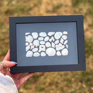 Scatola delle ombre con conchiglie in bianco e nero – Arte murale costiera realizzata a mano