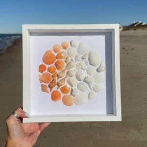 May include: A white framed artwork showcasing a collection of seashells arranged in a gradient from orange to white. The shells are displayed on a white background. The artwork is held up against a beach backdrop.