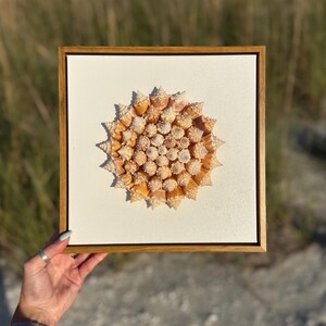 Arte con conchas marinas / Decoración costera hecha a mano