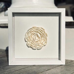 Seashell Rose – Framed Coastal Wall Art in White Shadow Box - Delicate, dreamy, and full of coastal charm. Coastal Decor - Coastal wall Art