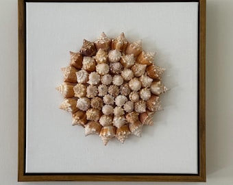 Sunburst Spiral Seashell Wall Art | Handmade Shell Flower | Natural Coastal Wall Hanging