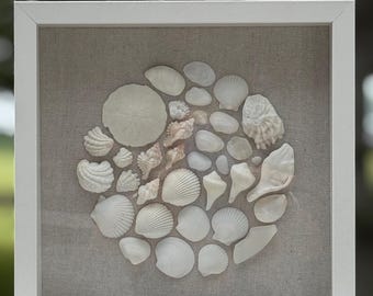 Seashell Mosaic Shadowbox - Authentic Sanibel shells