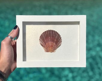 Handcrafted Scallop Shell Shadow Box – Coastal Wall Art