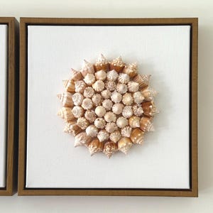 Sunburst Spiral Seashell Wall Art | Handmade Shell Flower Decor | Beachy Boho Home Accent | Natural Coastal Wall Hanging