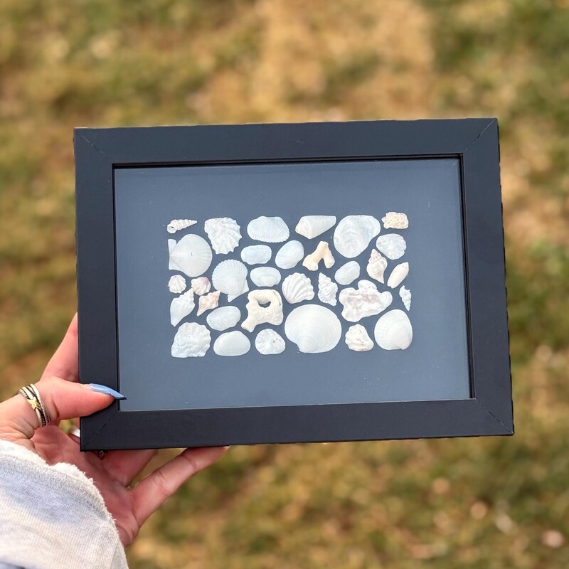 Shell Art Shadow Box - Etsy