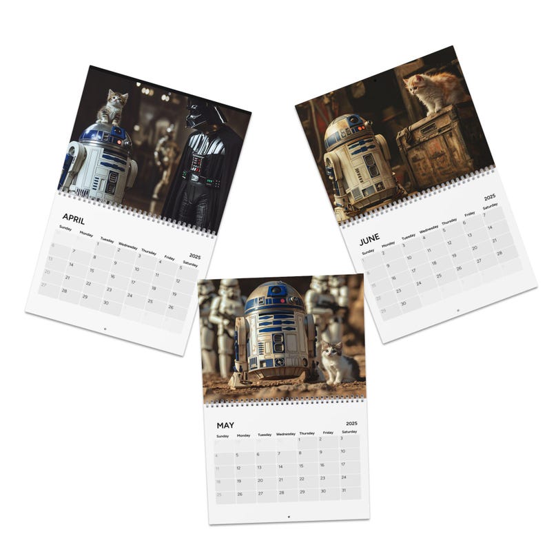 R2-D2 & kittens Calendar 2025, star wars gift Purrfection meets evil- starwars gifts, stocking stuffer, valentines gift, gifts for him image 6