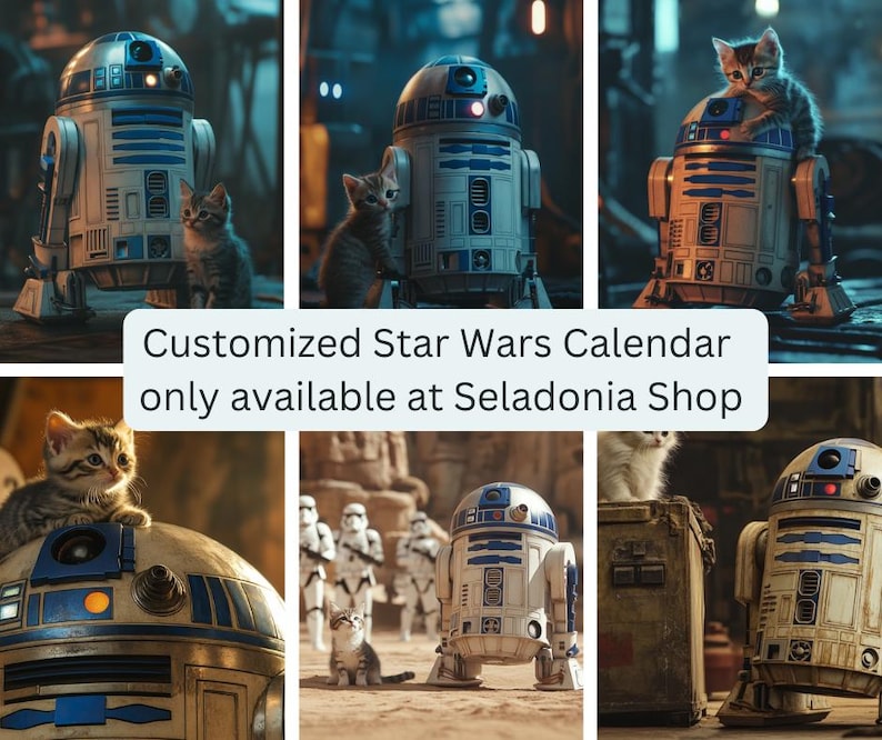 May include: A Star Wars themed calendar featuring a variety of R2-D2 robots with cute kittens sitting on top of them. The calendar is available at the Seladonia Shop.