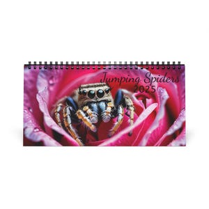 May include: A 2025 calendar featuring a jumping spider on a pink rose. The calendar title is "Jumping Spiders 2025".