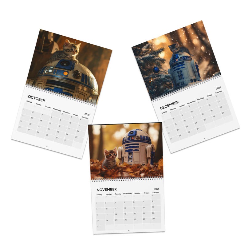 R2-D2 & kittens Calendar 2025, star wars gift Purrfection meets evil- starwars gifts, stocking stuffer, valentines gift, gifts for him image 8