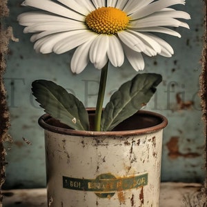 Vintage White Daisy Tin Sign: Retro Floral Wall Art (12x8)