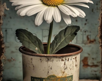 Vintage White Daisy Tin Sign: Retro Floral Wall Art (12x8)