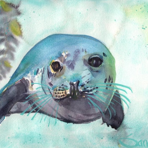 Channel Islands Seal : SIGNED Art Print   Sandra Watercolors™ California