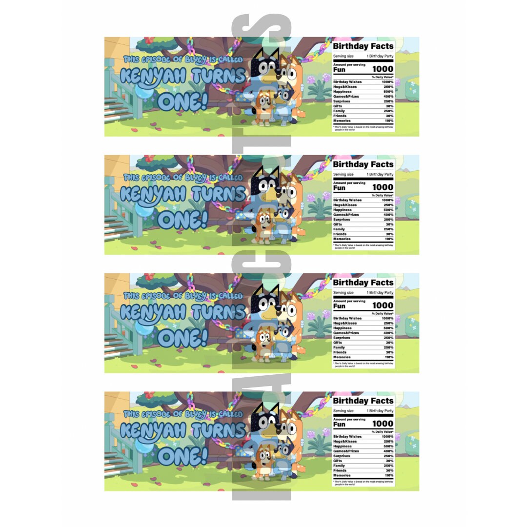 Bluey Party Template Bundle - Etsy