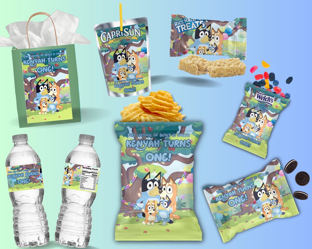 Bluey Party Template Bundle - Etsy