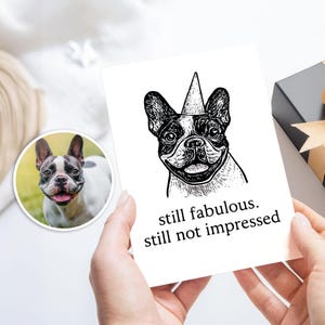 Lustige Karte für Hundeliebhaber, immer noch nicht fabelhaft, lustige Karte, Hund Mama Papa Geschenk, lustiges Geburtstagsgeschenk für Hund, Hundeliebhaber Geschenke
