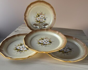 Set of 4 Mikasa Whole Wheat Loves Me Stoneware 11 Inch Dinner/chop Plate E 8018 Made in Japan