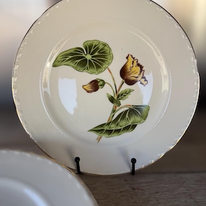 May include: White ceramic plate with a floral design featuring green leaves and a yellow and brown flower. The plate has a gold rim and a scalloped edge. The plate is displayed on a black metal stand.