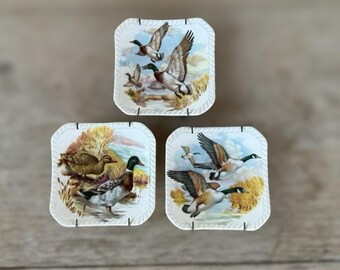 ROYAL ADDERLEY Wall Hangings Tea Bag Holder Mallard Ducks Bone China Roped Edge 4” Square Made In England