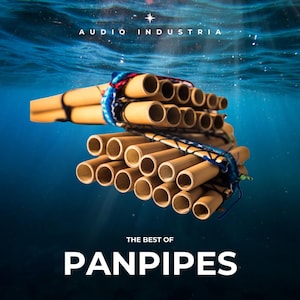 Op de afbeelding: Een set houten panfluiten, gebonden met blauw en rood touw, ondergedompeld in water. De panfluiten zijn gemaakt van natuurlijke bamboe en hebben een lichtbruine kleur. De tekst "THE BEST OF PANPIPES" wordt onder de panfluiten weergegeven.