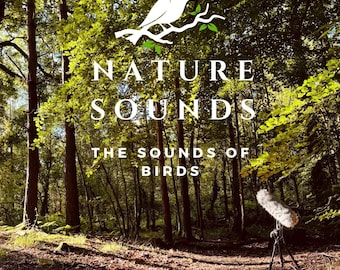 MP3 Bird sounds Vol 3