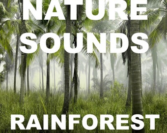 Può includere: Un'immagine digitale che mostra una scena di foresta pluviale nebbiosa con alte palme ed erba verde densa. Il testo NATURE SOUNDS è visualizzato in grandi lettere maiuscole bianche in alto, e la parola RAINFOREST appare in bianco in basso.