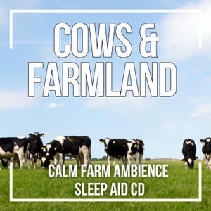 Op de afbeelding: Een cd-hoes met de tekst "COWS & FARMLAND" tegen een blauwe lucht. De afbeelding toont een kudde zwart-witte koeien die grazen op groen gras. De tekst "CALM FARM AMBIENCE SLEEP AID CD" wordt ook weergegeven.