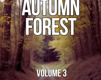 Ambiance forêt d'automne en téléchargement numérique | Feuilles des bois et fond calme pour le sommeil et la méditation