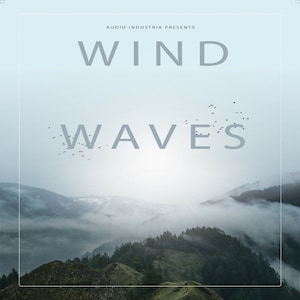 Puede incluir: Un paisaje montañoso brumoso con una bandada de pájaros volando sobre un bosque. El texto "AUDIO INDUSTRIA PRESENTS WIND WAVES" está superpuesto a la imagen.