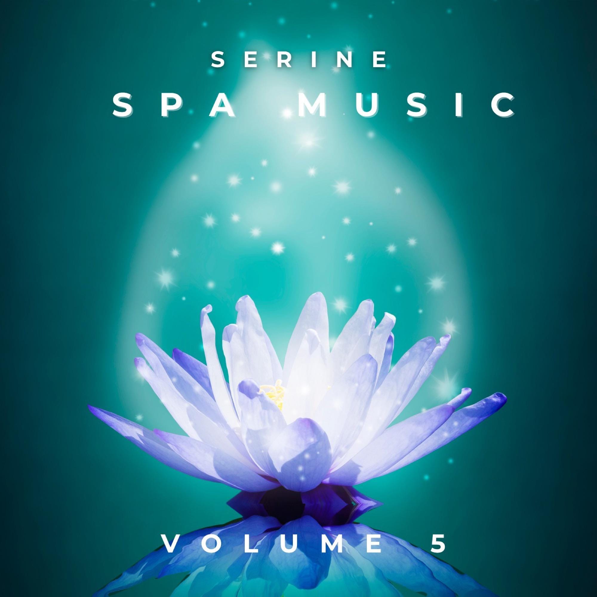 Spa Relaxation Music CD Mega Bundle: 12-CD Set for Massage, Yoga