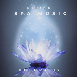 Spa-avslappningsmusik – Serenity Ambient Soundscapes, Vol. 12 (Digital nedladdning)