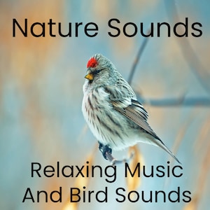 Nature Sounds Bird Sounds CD with Relaxation Music Stress Relief Calm Nature