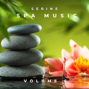 Può includere: Una copertina di un album di musica spa serena con una pila di pietre grigie lisce, un fiore di loto rosa e una goccia d'acqua. Il testo "SERINE SPA MUSIC VOLUME 6" è visualizzato in bianco. Lo sfondo è verde tenue.