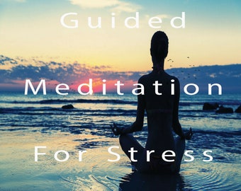 MP3 Guided Meditation Relaxation Session Stress Relief Sleep Aid Heal Calm