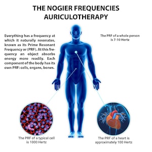 Puede incluir: Una ilustración azul de un cuerpo humano con un punto rojo en el pecho. El texto "The Nogier Frequencies Auriculotherapy" está en la parte superior de la imagen. El texto "Everything has a frequency at which it naturally resonates, known as its Prime Resonant Frequency or (PRF). At this frequency an object absorbs energy more readily. Each component of the body has its own PRF: cells, organs, bones." está en el lado izquierdo de la imagen. El texto "The PRF of a whole person is 7-10 Hertz" está en el lado derecho de la imagen. Debajo de la ilustración del cuerpo humano, hay tres círculos. El círculo izquierdo muestra un primer plano de una estructura de panal. El texto "The PRF of a typical cell is 1000 Hertz" está debajo del círculo. El círculo del medio muestra un primer plano de un corazón humano. El texto "The PRF of a heart is approximately 100 Hertz" está debajo del círculo.