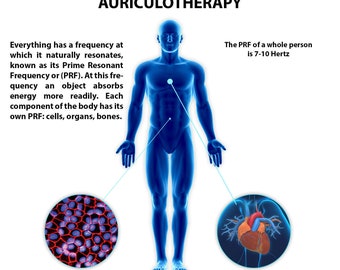 MP3 The Nogier Frequencies Auriculotherapy Digital Album