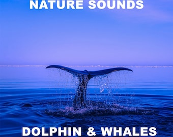 Audio MP3 dauphins et baleines pour la relaxation, la méditation, le stress, la guérison, le sommeil et le spa