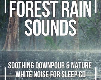 MP3 Forest Rain – Gentle Downpour Ambience (Instant Digital Download)