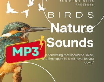 Natur Soundeffekte MP3, Landschaft Vögel Hintergrund Audio zum Entspannen, Schlafen, Meditation, Stressabbau, Sofort Download