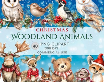 Paquete de imágenes prediseñadas de animales del bosque navideños, acuarela PNG de animales del bosque navideños, imágenes prediseñadas de animales bebés navideños caprichosos