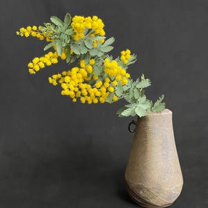 Vintage Bizen Ware Hanging Flower Vase ー Japanese Wabi Sabi Wall Vase / Table Vase for Tea Ceremony