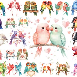 Pacchetto PNG Clipart di piccioncini di San Valentino, uccelli acquerellati, cuori romantici, download immediato, uso commerciale, arte stampabile