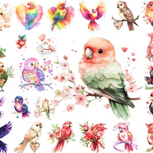 Bundle de cliparts PNG perroquet de la Saint-Valentin, aquarelles tourtereaux, thème coeur, téléchargement immédiat, usage commercial, oeuvre d'art imprimable