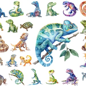 Zestaw clipartów akwarelowych gadów PNG, kameleon, jaszczurka, skink, wąż, aligator, żółw, gekon, pobieranie cyfrowe, wykorzystanie komercyjne