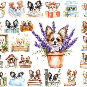 Papillon gluren PNG clipartbundel, aquarel Papillon over hek, roos, picknick, instant download, commercieel gebruik, afdrukbare kunst