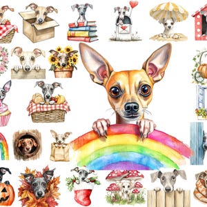 Paquete de imágenes prediseñadas de galgo italiano asomando, acuarela, vallas, libros y flores, descarga instantánea, uso comercial, arte imprimible