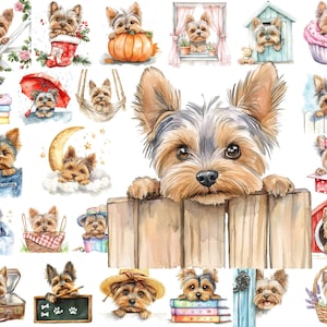 Yorkshire Terrier gluren PNG clipart bundel, aquarel Yorkie gluren scènes, Instant Download, commercieel gebruik, afdrukbare kunst