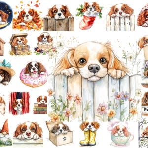 Watercolor Cavalier King Charles Spaniel Clipart: Peeking Dog PNG Bundle (Commercial Use, Digital Download