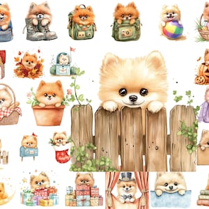 Paquete de imágenes prediseñadas de Pomerania asomando, perros Pom sobre una cerca, calabaza y más, descarga instantánea, uso comercial, arte imprimible